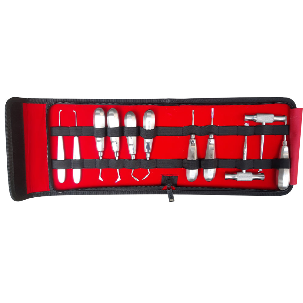 SS WHITE - Dental Root Elevator Set of 11 Pcs,Rust Free High Quality Steel