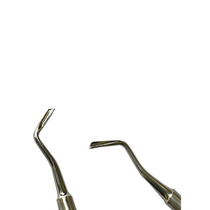 Dental Root Elevator 2-Pcs Set L-R Anatomical Handle ( S34.015, S34.016)- SS WHITE