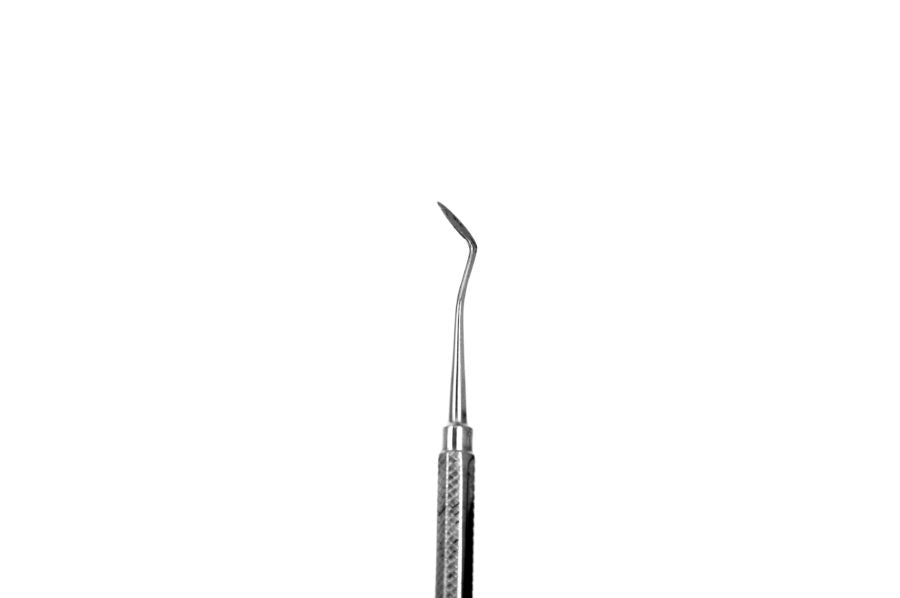 Hollenback Carver S58.02  Ecoline- SS WHITE