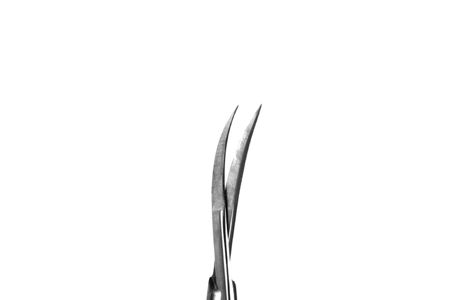 Scissors Kelly Curved 16cm S6.08  Ecoline- SS WHITE