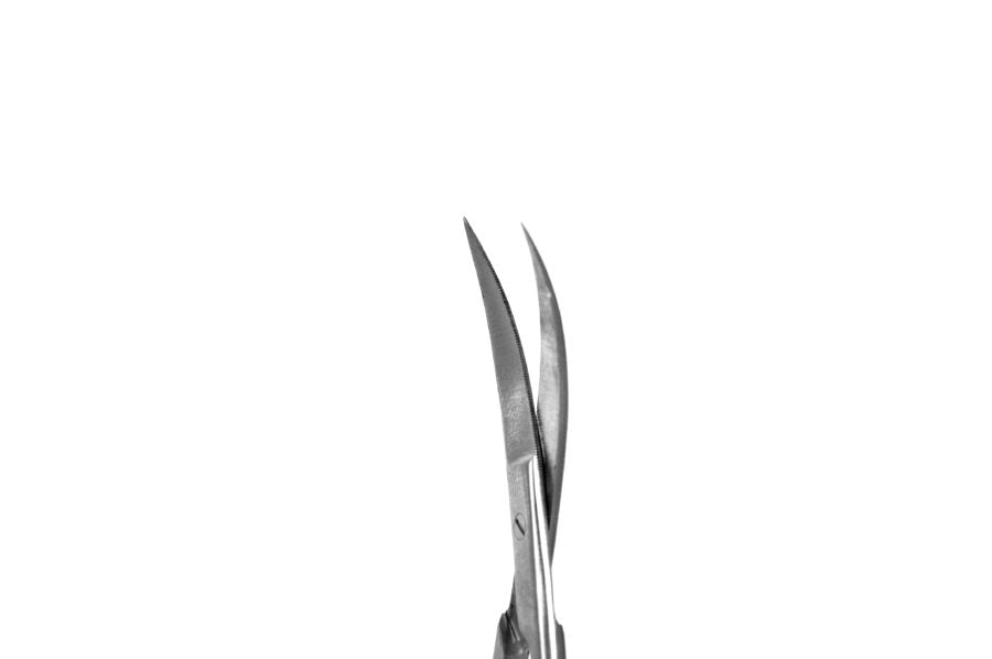Scissors Kelly Curved 16cm S6.08  Ecoline- SS WHITE