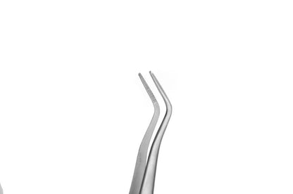 Cotton and Dressing Pliers S11.01 Meriam 16cm- SS WHITE