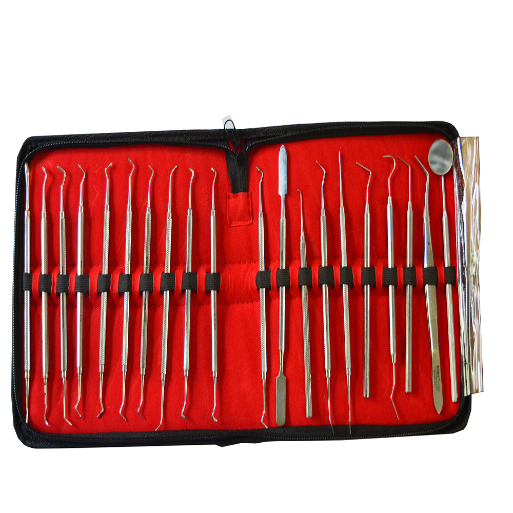 SS WHITE - Dental Conservative Kit Of 20 Instruments- Ecoline (Solid Handle )