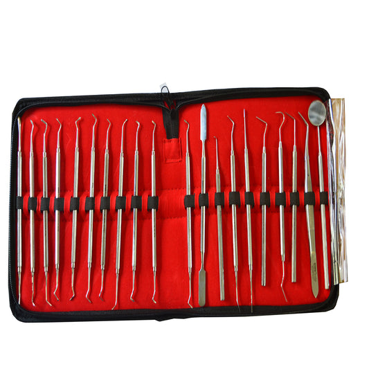 SS WHITE - Dental Conservative Kit Of 20 Instruments- Ecoline (Solid Handle )
