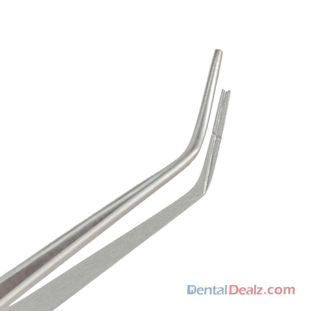 Cotton and Dressing Pliers /Tweezer Collage Self Locking  ,S12.02 -15cm -Ecoline  SS WHITE
