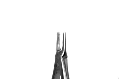Tooth  Extraction Forceps  No. 29  Upper Front Roots  (S26.09) -SS WHITE