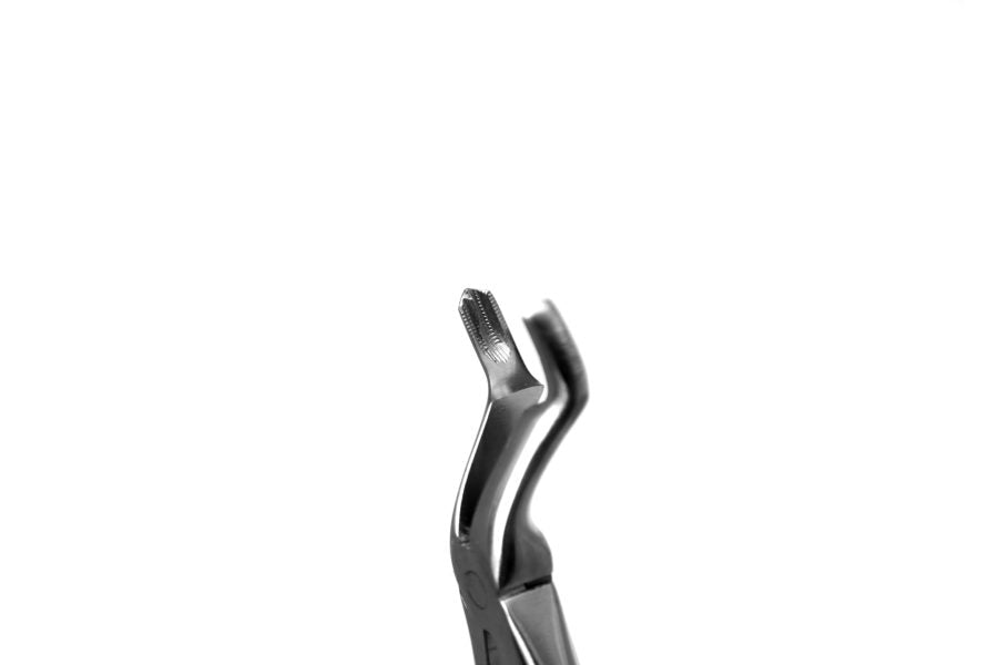 Tooth  Extraction Forceps  No. 67R  Upper Third Molar Right (S27.09) And Upper Third Molar Left  No.67L (S27.010) Set - SS WHITE