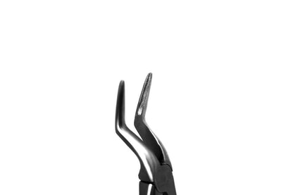 Tooth  Extraction Forceps  No.151 Upper Roots (S29.05)- SS WHITE