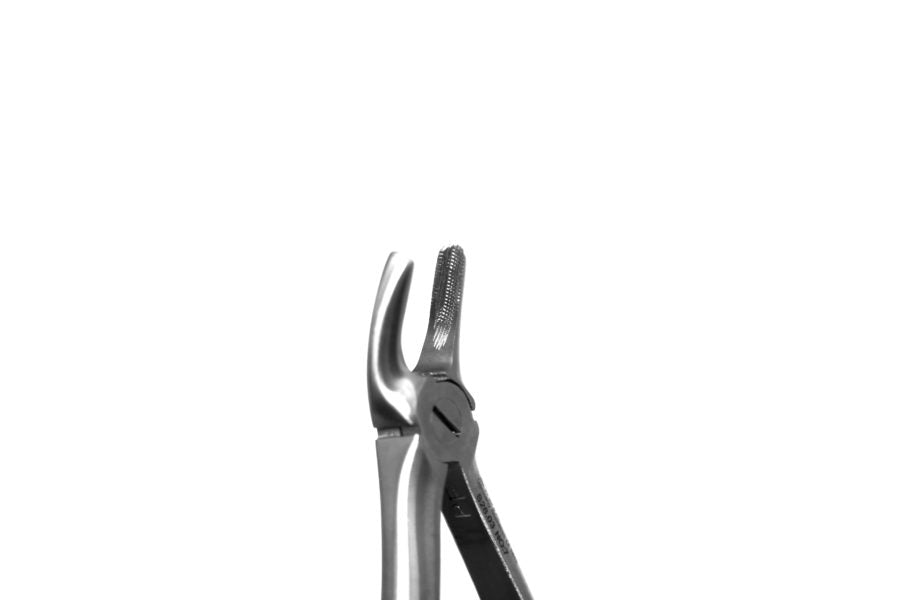 Tooth  Extraction Forceps  No.7   Upper Premolars (S26.03) -SS WHITE