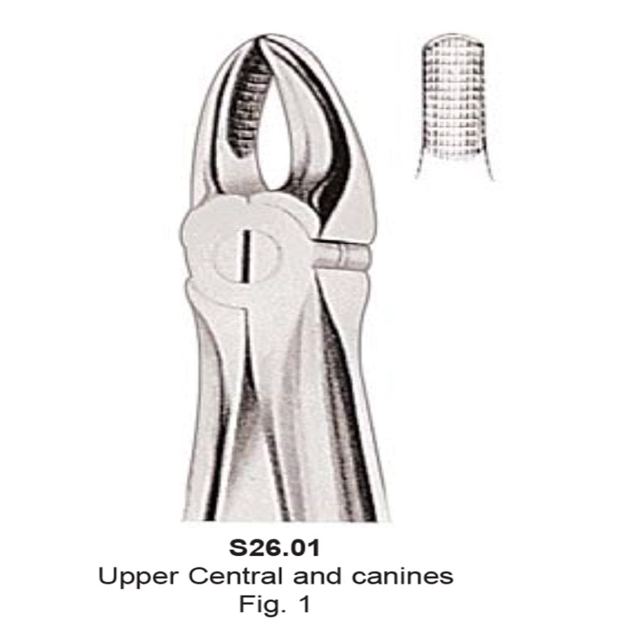 Tooth  Extraction Forceps  No.1  Upper Central And Canines  (S26.01 ) -SS WHITE