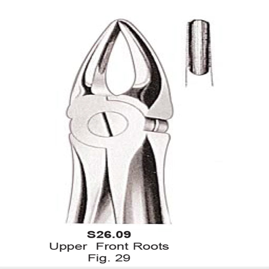 Tooth  Extraction Forceps  No. 29  Upper Front Roots  (S26.09) -SS WHITE