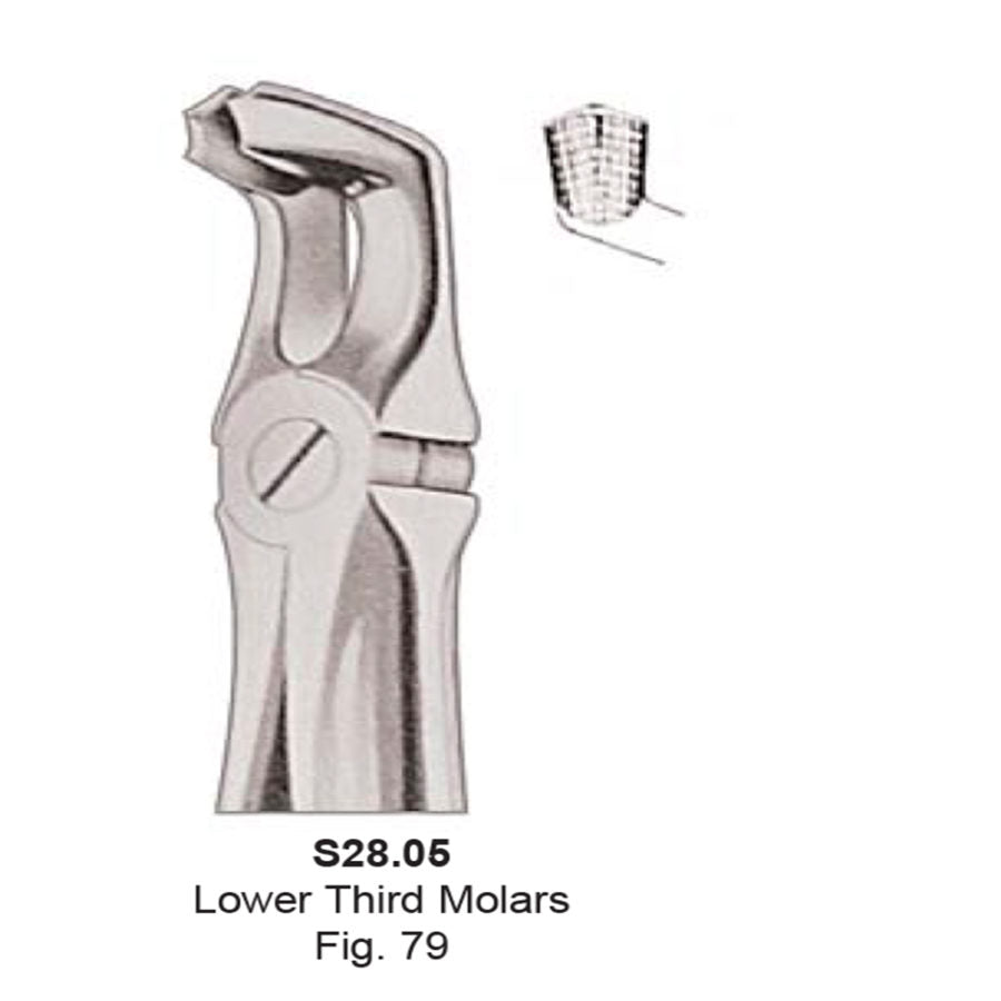 Tooth  Extraction Forceps  No.79  Lower Third Molars (S28.05) - SS WHITE