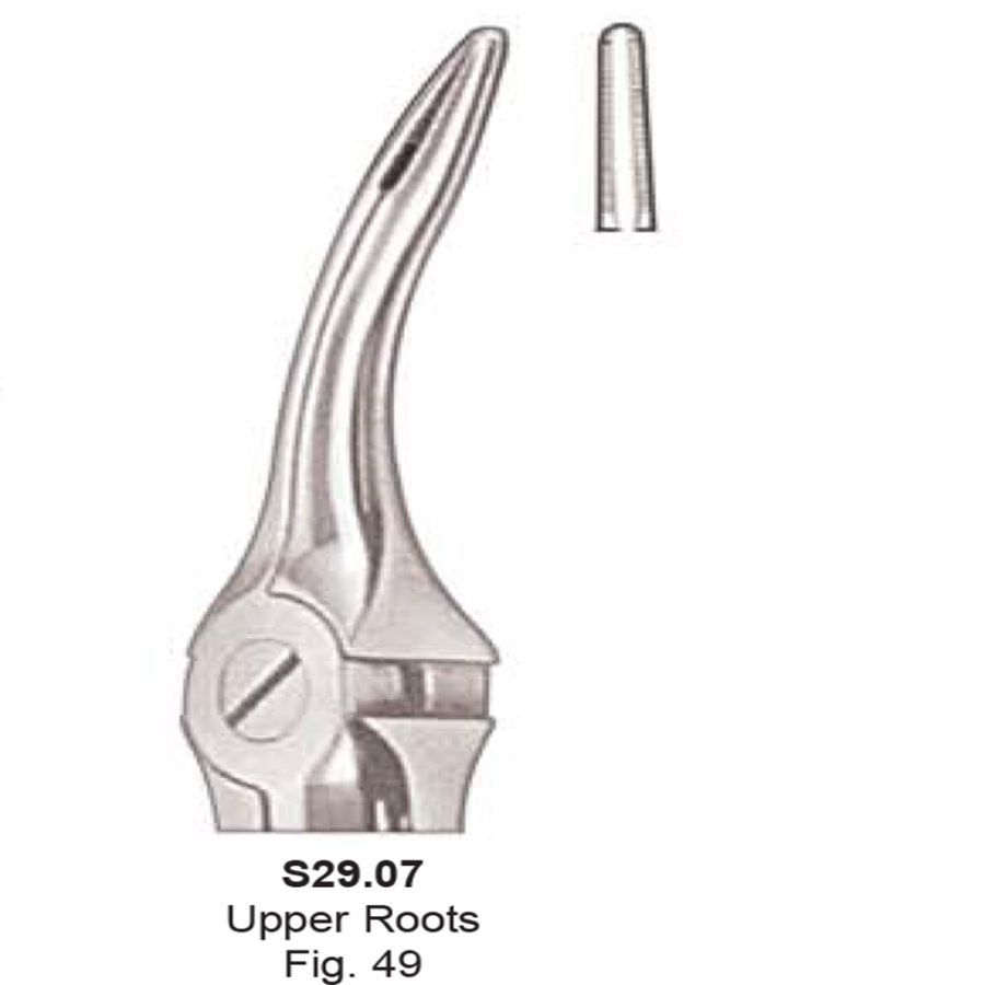 Tooth  Extraction Forceps  No.49 Upper Roots  (S29.07) - SS WHITE