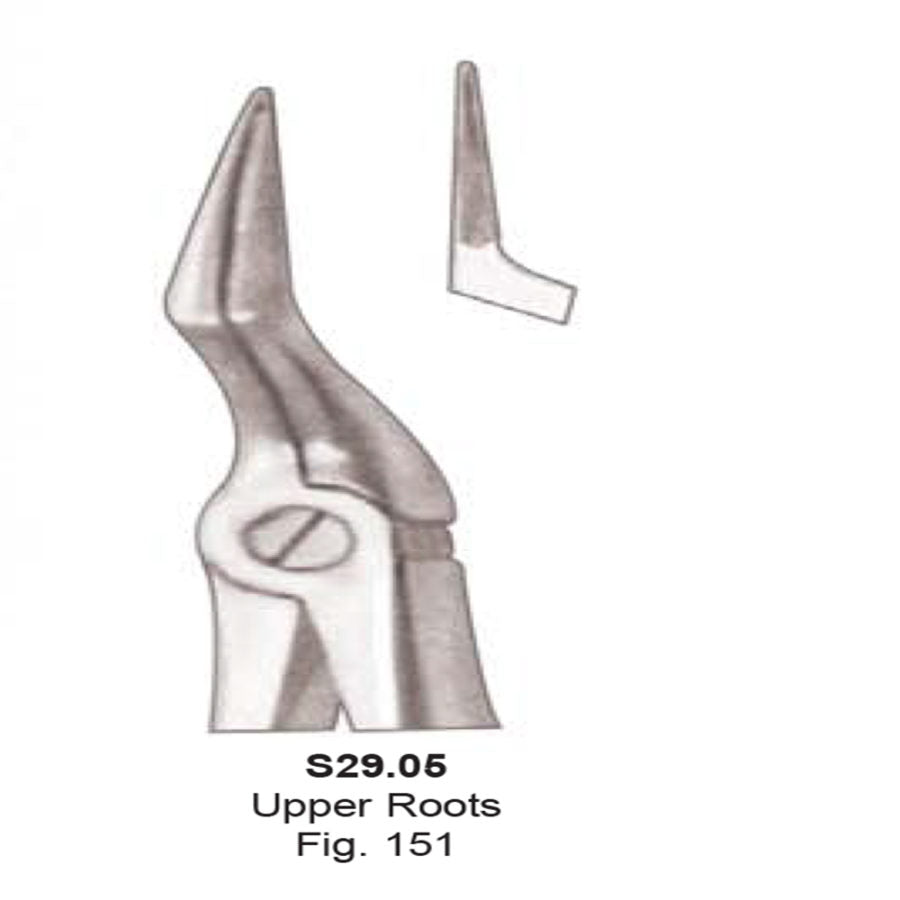 Tooth  Extraction Forceps  No.151 Upper Roots (S29.05)- SS WHITE