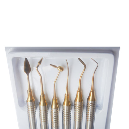 SS WHITE – Dental Composite Filling Instruments,Hollow Handle 8mm Select (TIN Golden ) Set of 6 Stuck, Plastic/Composite Filling Instruments Set of 6 Pcs