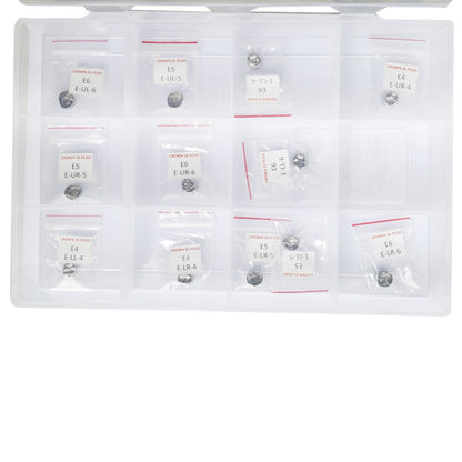 SS WHITE - Stainless Steel Pedo Crown Kit of 12pcs, Dental Crown SS Pedo Molor Set, Dental Crown stainless Steel